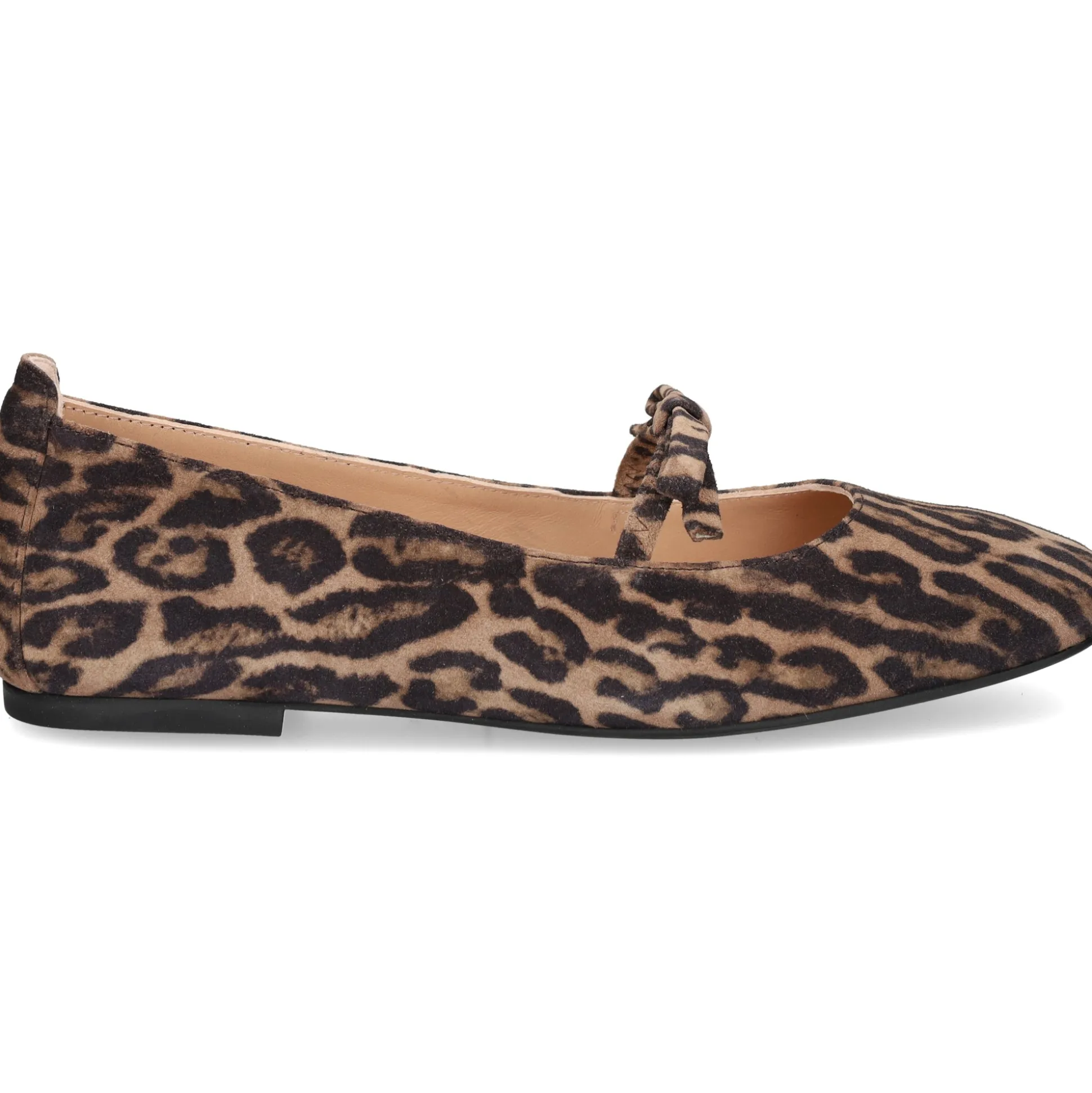 UNISA Bailarinas de Mujer BETAR_ZUL FANGO